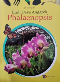Image of BUDI DAYA ANGGREK PHALAENOPSIS